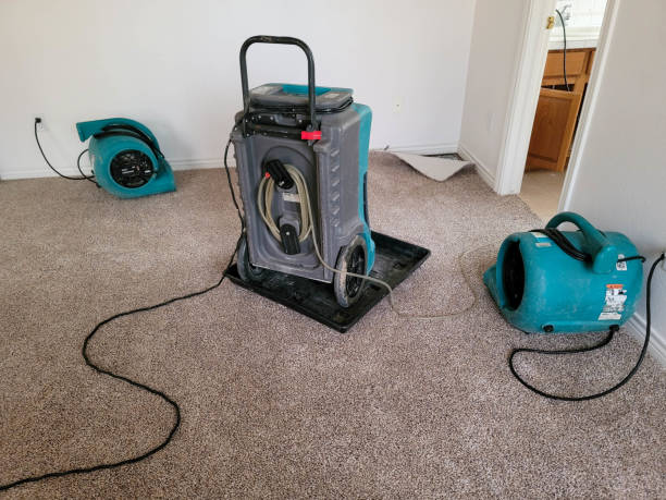 Best Local water damage restoration  in Manvel, TX