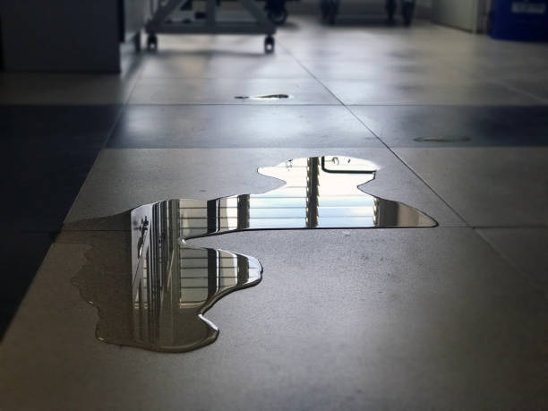 Best Water damage mitigation services  in Manvel, TX