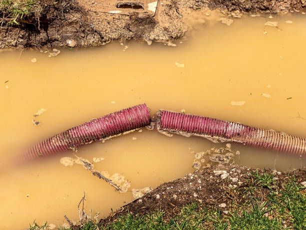 Best Carpet water damage restoration  in Manvel, TX