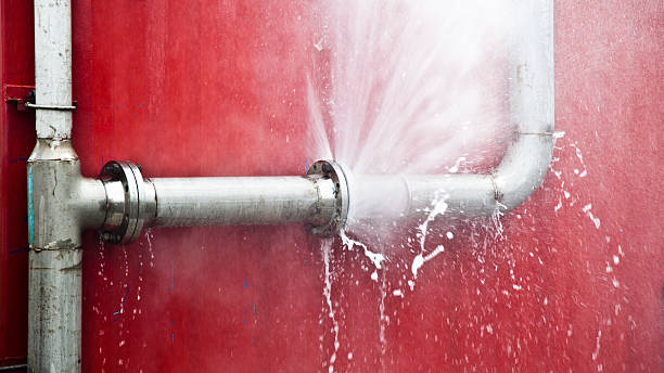 Best Basement water damage restoration  in Manvel, TX